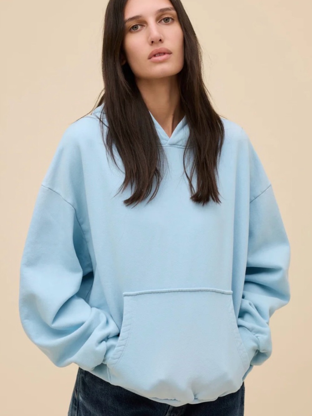 NWOT Daydreamer LA SOLID OVERSIZED HOODIE - SUNFADED BLUEY